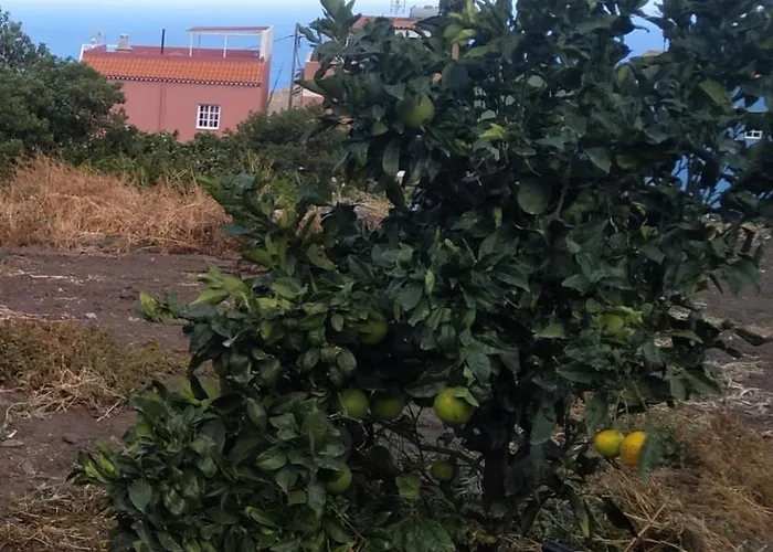 Vv Casa Conchi