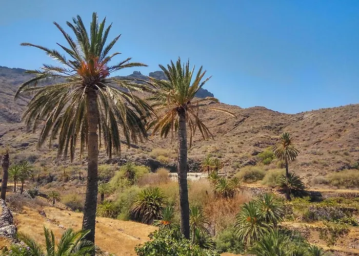 Vv Casa Conchi * Alojera